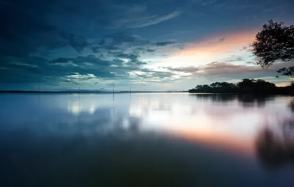 Picture the sky, water, clouds, trees, surface, dawn, shore, morning