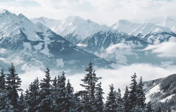 Winter, snow, trees, landscape, mountains, tree, landscape, nature