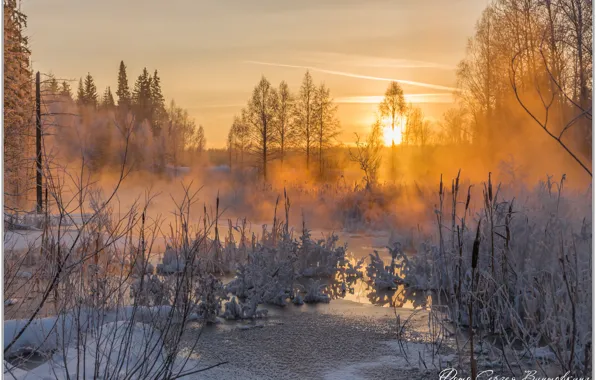 Frost, Winter sunset, evening on the river
