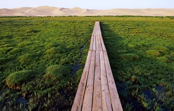 Download wallpaper swamp, the bridge, Mongolia, Hongoryn ELS, Gobi ...