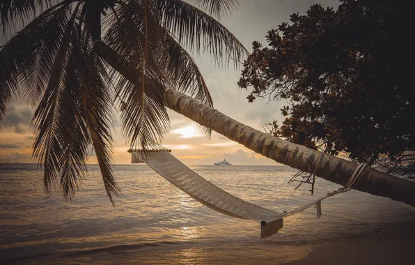 Picture landscape, sunset, nature, tropics, palm trees, the ocean, ship, yacht