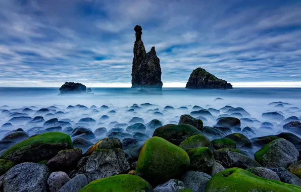 Wave, the sky, fog, rocks, coast, morning, waves, rock