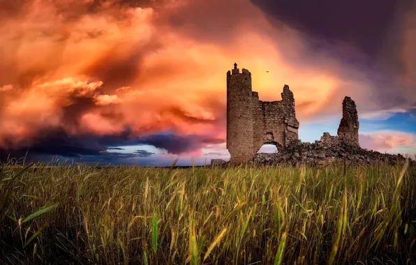 Picture field, the sky, clouds, the ruins