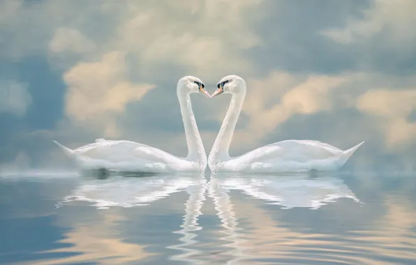 The sky, water, clouds, birds, reflection, background, kiss, treatment