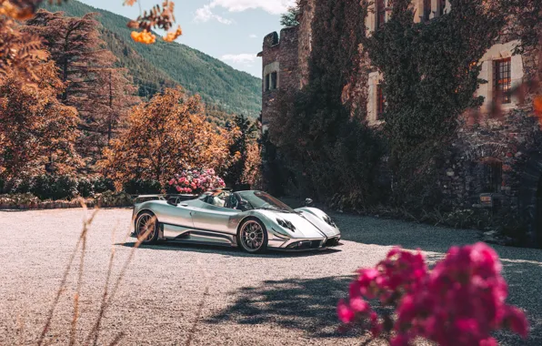 Supercar, fortress, Pagani, supercar, tower, trees, Zonda, beautiful