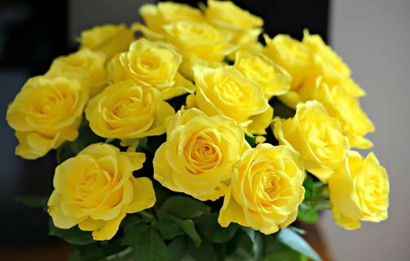 Picture yellow, roses, bouquet