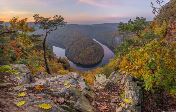 Autumn, trees, rock, river, Czech Republic, bending, horseshoe, Bohemia