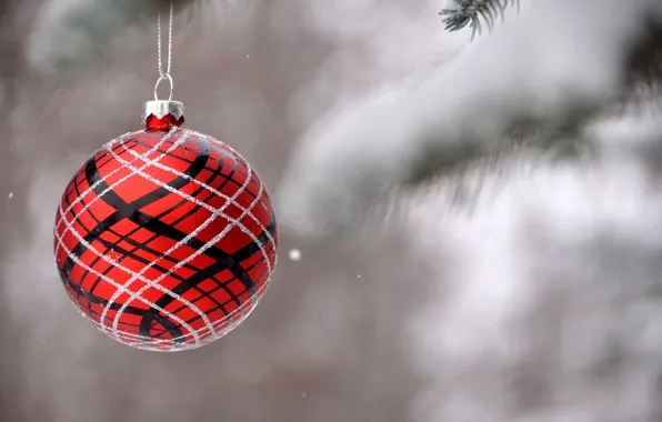 Picture winter, snow, branches, red, nature, patterns, toy, ball