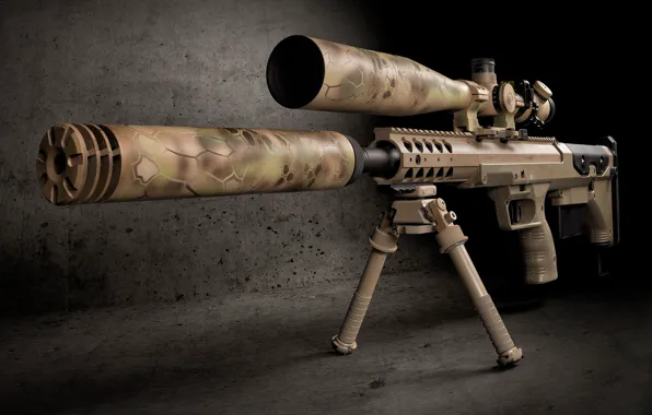 Picture optics, muffler, sniper rifle