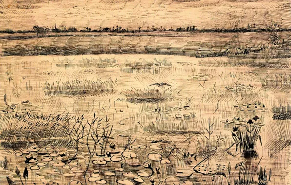Water lilies, Vincent van Gogh, Water Lillies, Marsh with