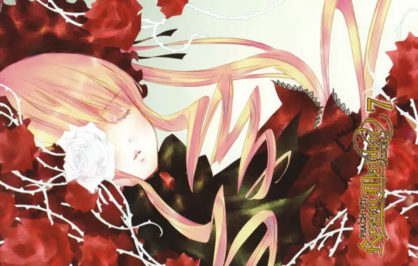 Sleep, spikes, rozen maiden, art, red roses, shinku, Kapor, peach-pin