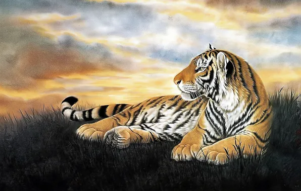 Clouds, Grass, Tiger, Predator, Art, Animal, Big cat