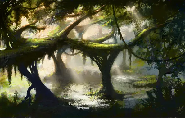 Water, trees, pond, thickets, swamp, jungle, art, vines