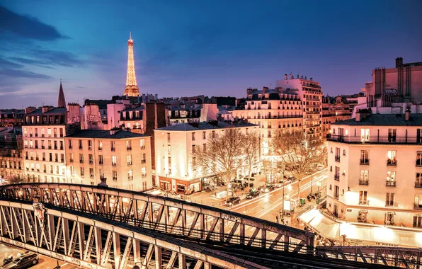 Picture light, machine, night, bridge, the city, lights, France, Paris