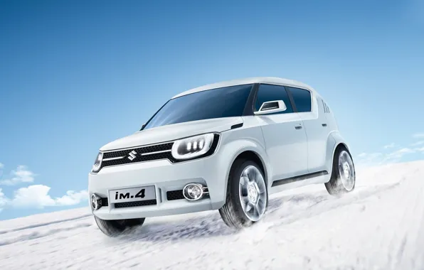 Picture white, photo, concept, crossover, 2015, Suzuki iM4