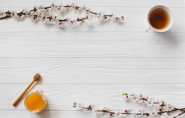 Flowers, Spring, Branches, Honey, Flowering, Tea