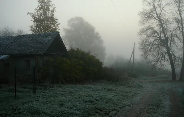 Picture fog, house, village