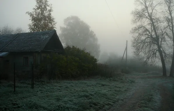 Fog, house, village