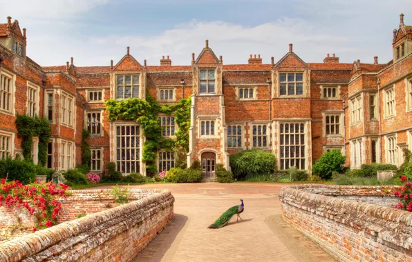 The building, England, mansion, England, Peacocks, Kent Well Hall