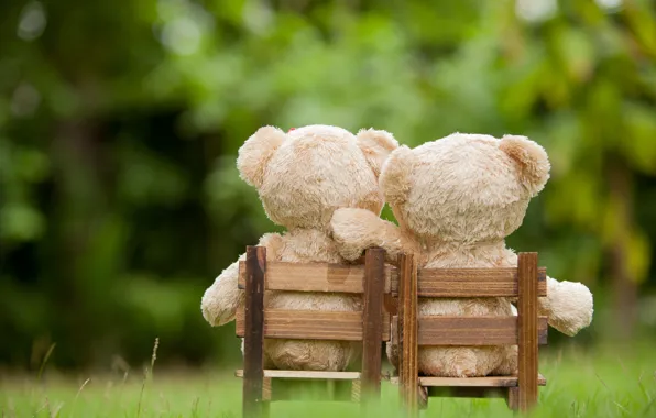 Picture love, toy, bear, pair, love, two, bear, park