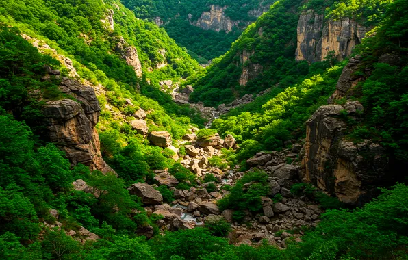 The sun, trees, mountains, nature, stones, rocks, Wallpaper, wallpaper