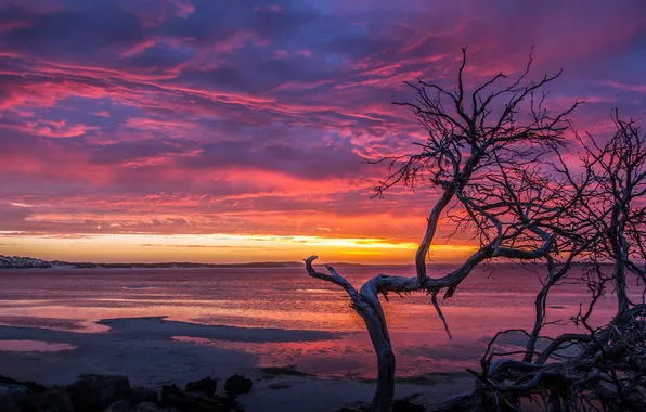 Beach, sunset, pink, orange, Coffin Bay