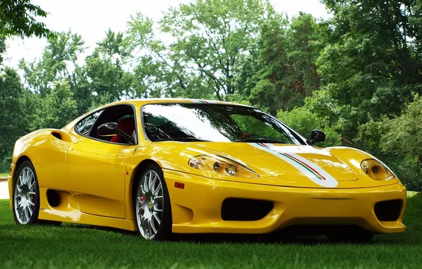 Picture grass, trees, yellow, background, Ferrari, Ferrari, supercar, 360