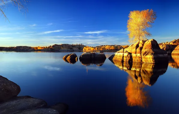 Picture the sky, landscape, lake, stones, tree