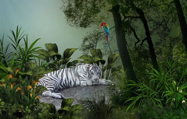 White, leaves, trees, tiger, tropics, parrot