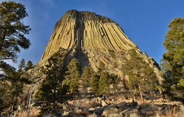 Picture usa, devils tower, the Black Hills, northeastern Wyoming, Devils Tower National Monument