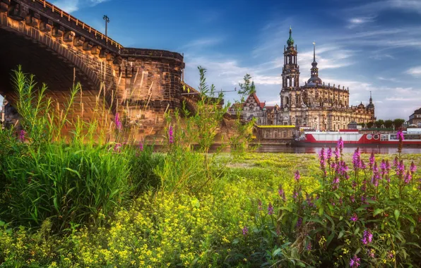 The city, Germany, Dresden, meadow, Dresden