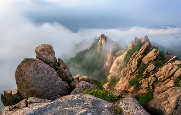 Clouds, landscape, mountains, nature, fog, South Korea, reserve, Wolchulsan National Park