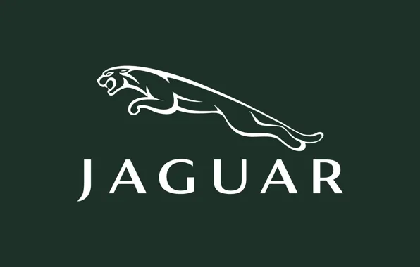 The inscription, Jaguar, logo, Jaguar, green, fon