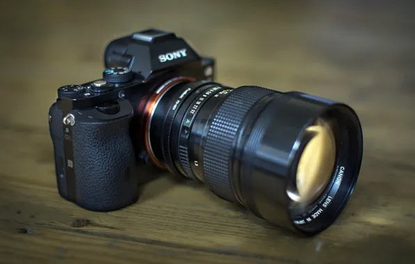 Macro, background, camera