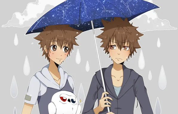 Rain, umbrella, bird, Katekyo Hitman reborn, Teacher mafia Reborn, Sawada Tsuyoshi