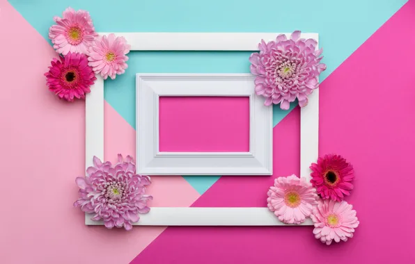 Flowers, background, pink, holiday, blue, triangles, color, frame