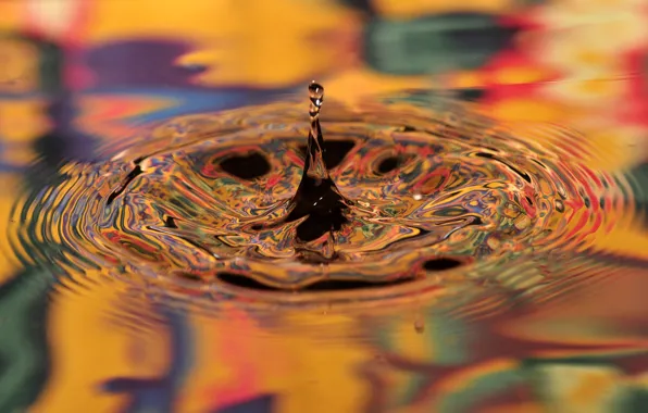 Color, water, macro, bright, drop, the time, frozen