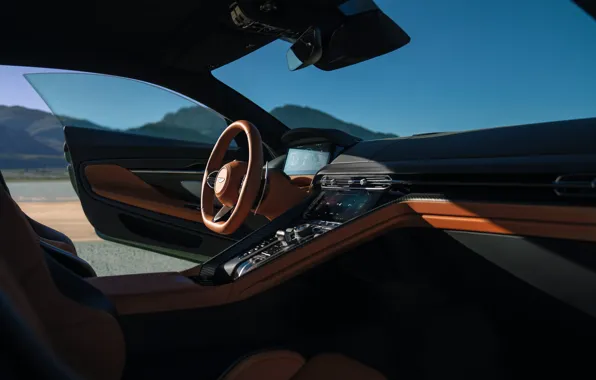 Picture Aston Martin, interior, the door, the wheel, salon, Suite, wheel, torpedo