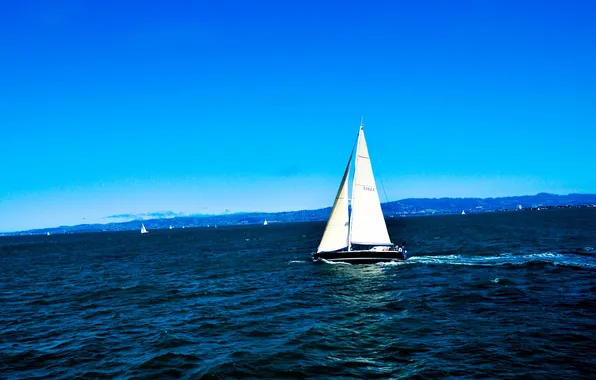 Picture sea, wave, the sky, shore, yachts, sail