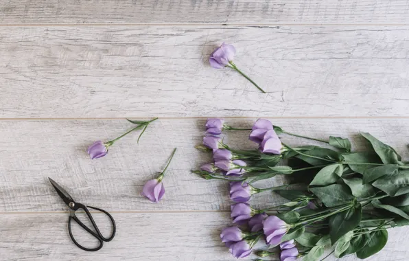 Bouquet, Beautiful, wood, flowers, purple, Eustoma, Decor