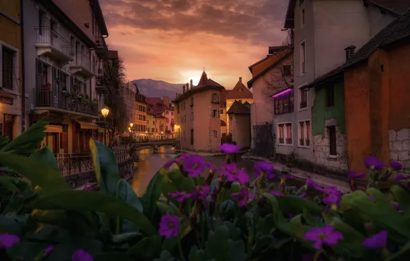 Flowers, the city, France, home, the evening, channel, Annecy