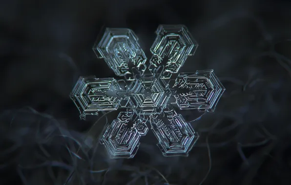 Picture winter, macro, snow, snowflakes, fiber