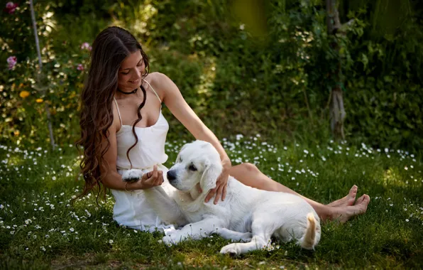 NATURE, GRASS, GREENS, DRESS, FLOWERS, GLADE, MOOD, PUPPY