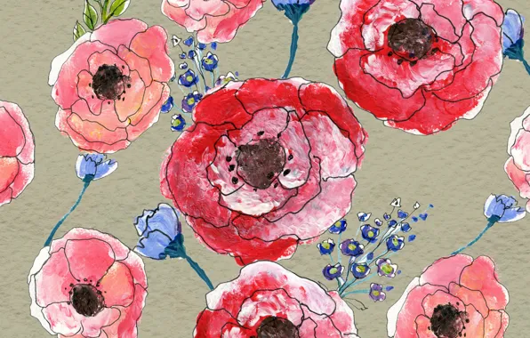Flowers, Maki, Background, Texture