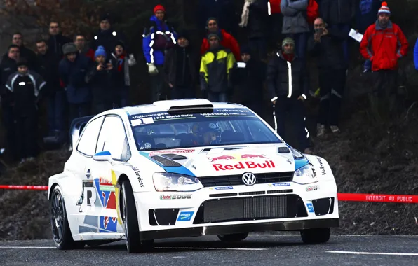 Picture Auto, White, Volkswagen, People, Red Bull, WRC, Rally, Polo