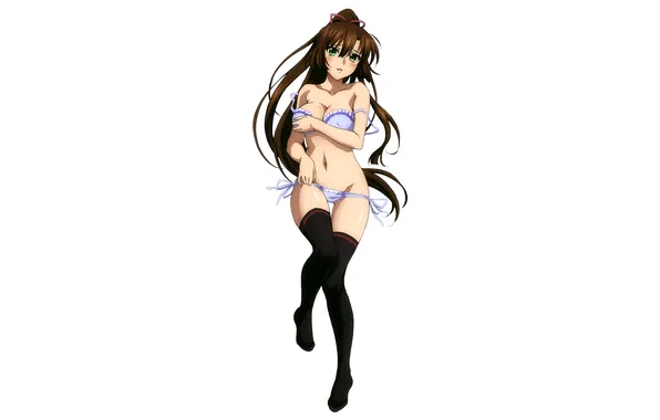 Girl, sexy, lingerie, pantsu, bra, cleavage, panties, thighhighs
