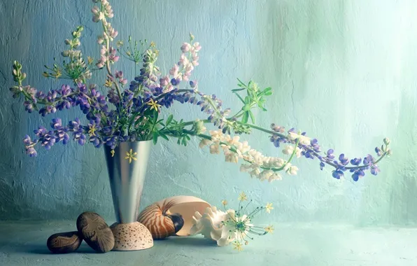 Pebbles, wall, Flowers, bouquet, vase, shell