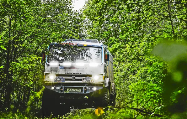 Grass, Sport, Speed, Race, Master, Russia, Kamaz, Rally