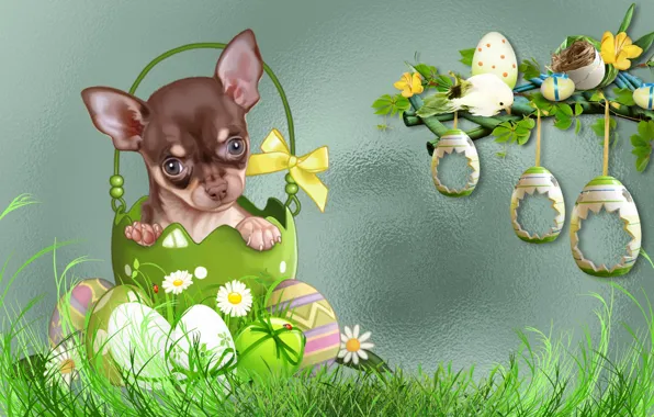 Picture dog, MOOD, EASTER, THE WALLPAPERS
