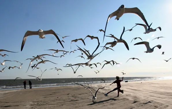 BEACH, SEA, HORIZON, The SKY, SAND, FLIGHT, RUNNING, SHORE